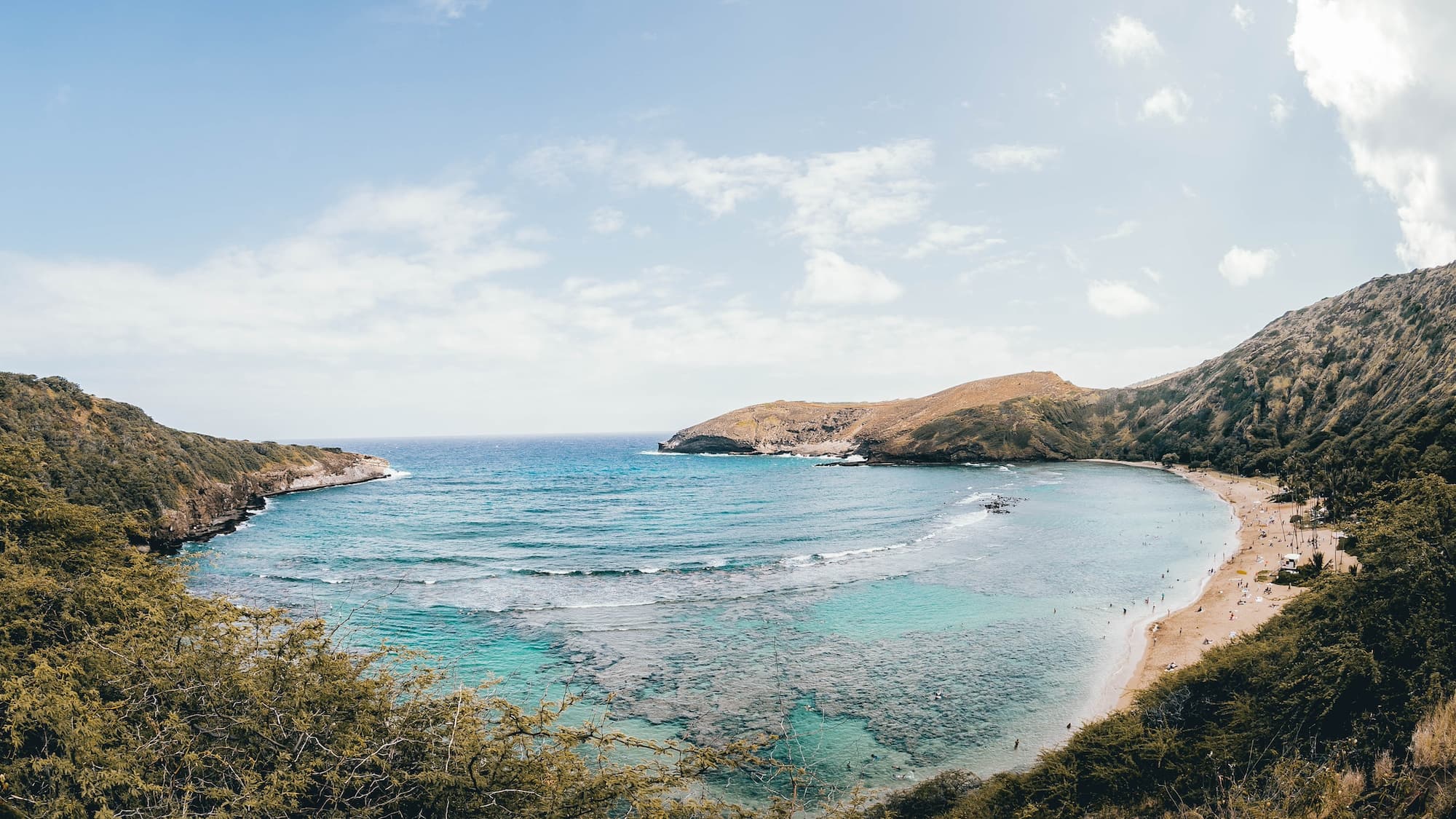 Paradise Cove