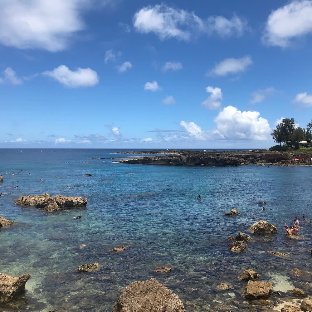 Shark’s Cove