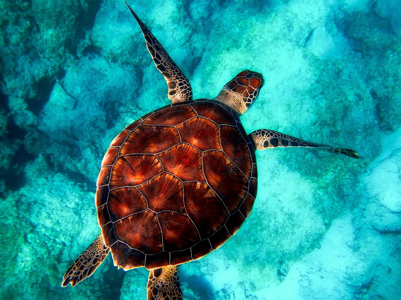 Turtle Canyon