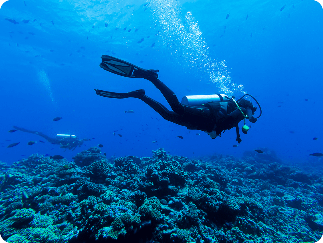 Ruckus Diving - Image 2