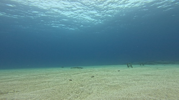 A clear-day photo from the deployed GoPro, with distance markers on the seafloor.